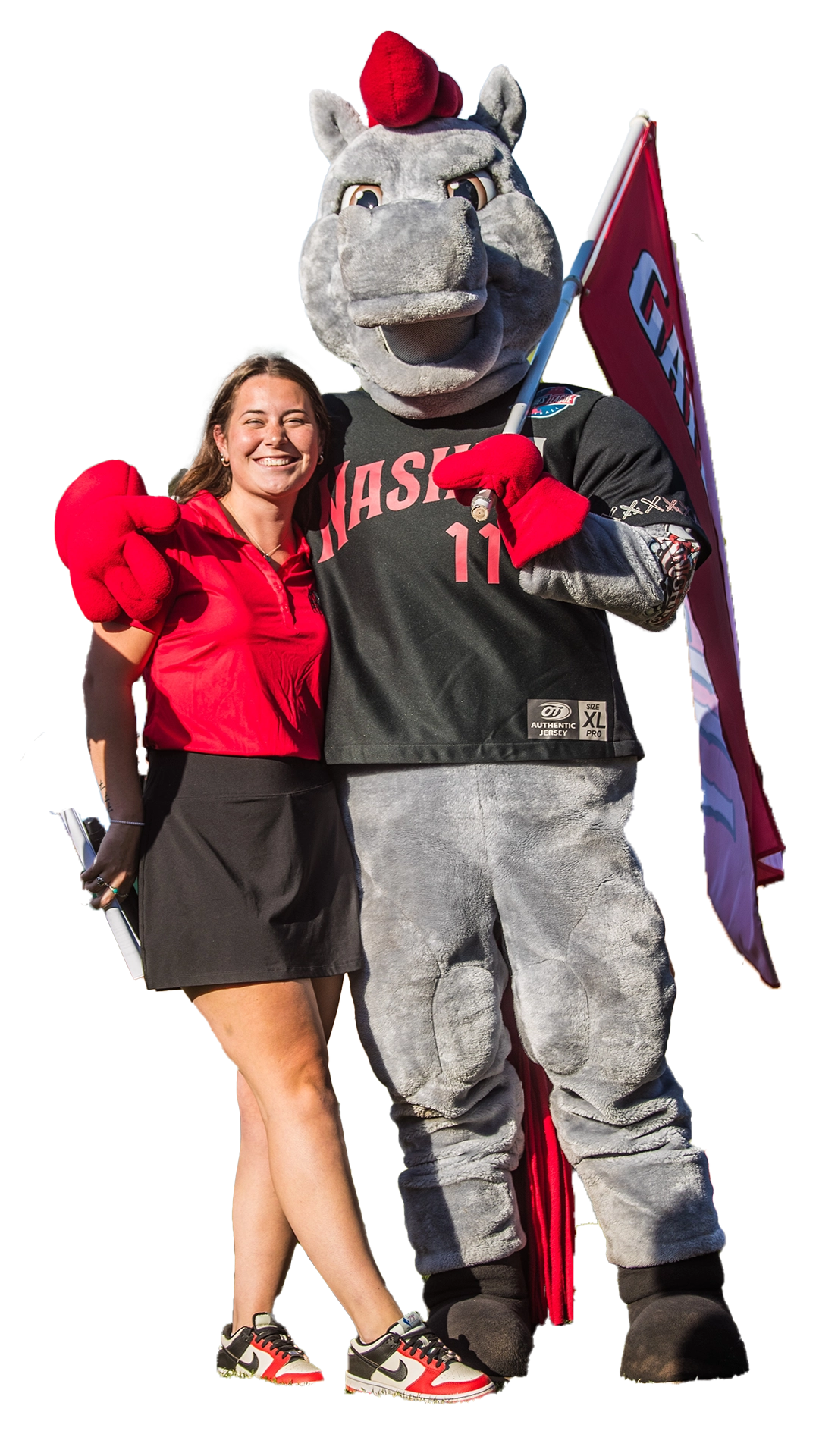 Mascot-cutout